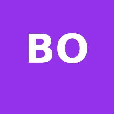 Logo BOLDUŢ OVIDIU