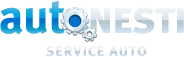 Logo Auto Nesti Service