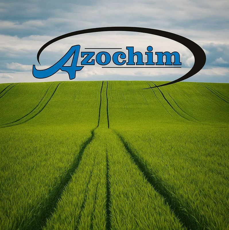 Logo Azochim