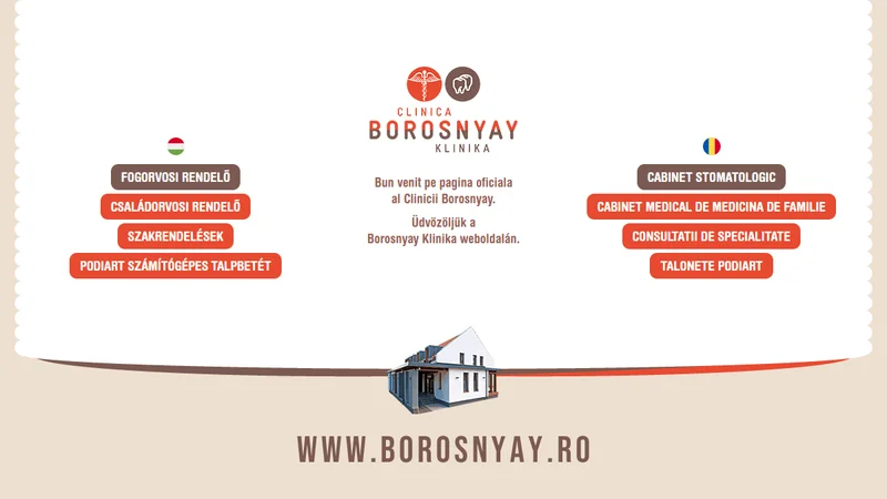 Logo Borosnyay.ro