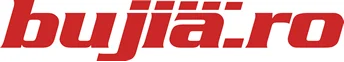 Logo bujia.ro