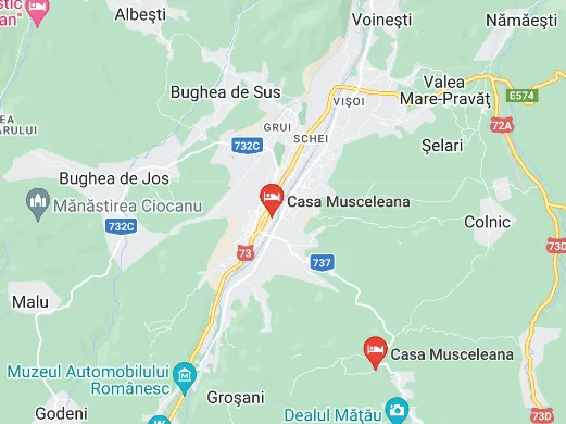 Logo Casa Musceleana - cazare campulung