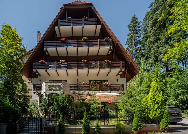 Logo Complex Opus Sinaia