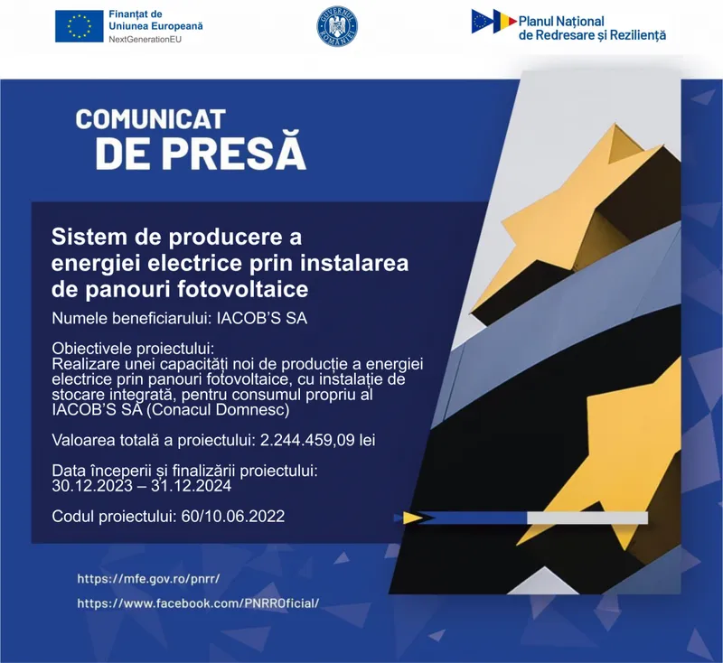 Logo Complex Turistic Conacul Domnesc