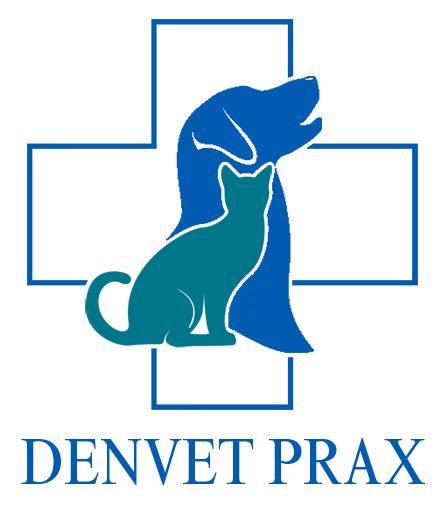 Logo Denvet Prax