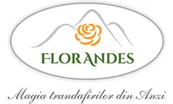 Logo Flor de los Andes