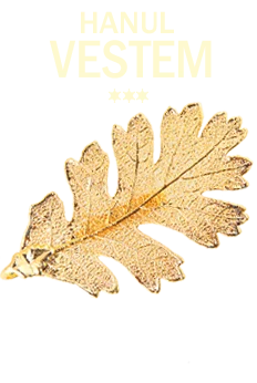 Logo Hanul Veștem