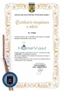 Logo HomeVast
