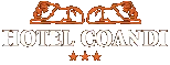 Logo Hotel Coandi