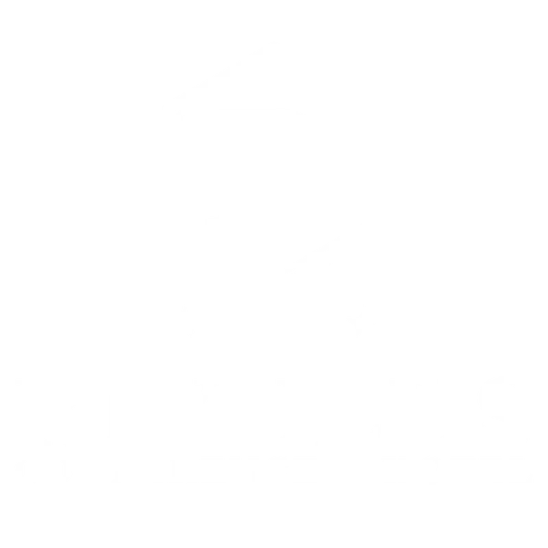 Logo Hotel Rivulus