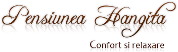 Logo Pensiunea Hangița