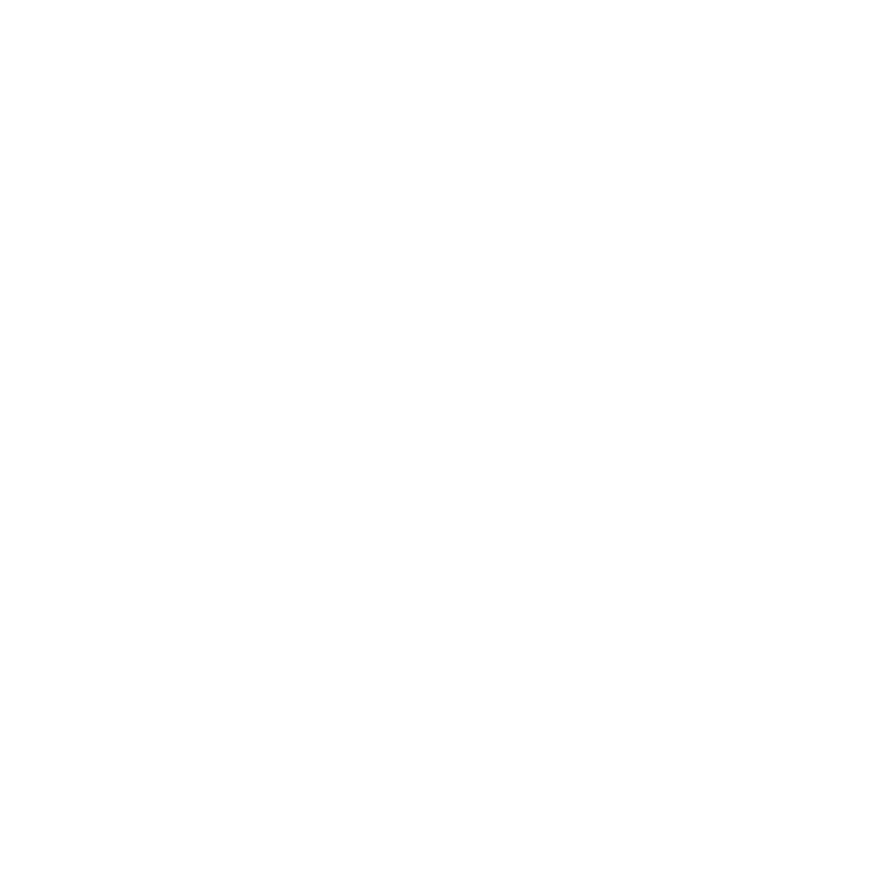 Logo Pensiunea Zbor