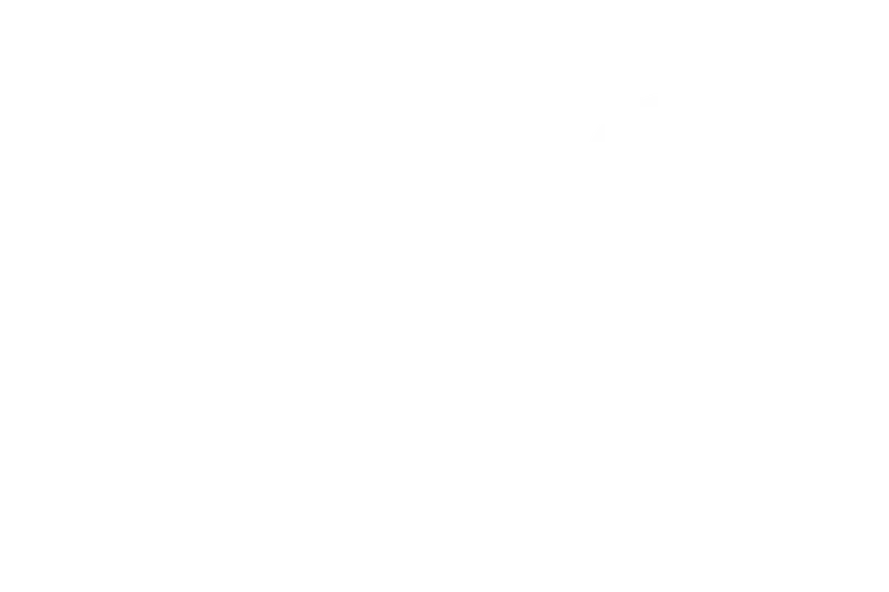 Logo RAS Group