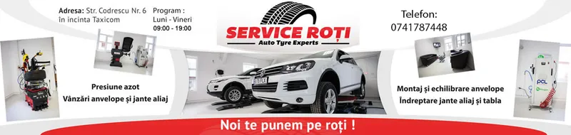 Logo Service auto - roti