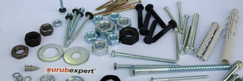 Logo SurubExpert
