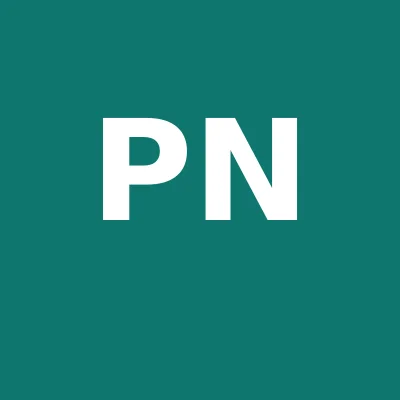 Logo PÃUN NICOLAE